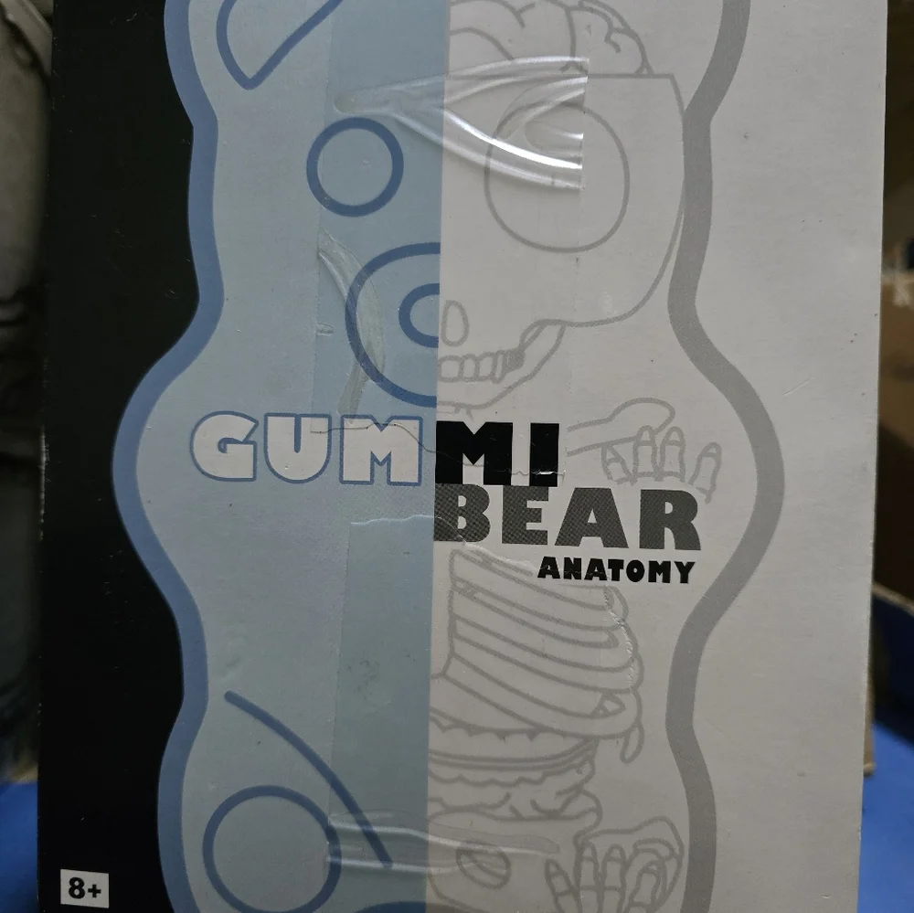 4D Master Gummi Bear Anatomy - Picture 2 of 4